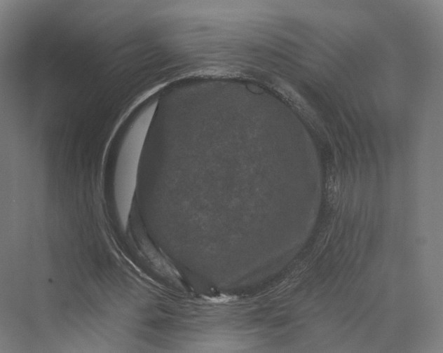 X0000069790484200606021417