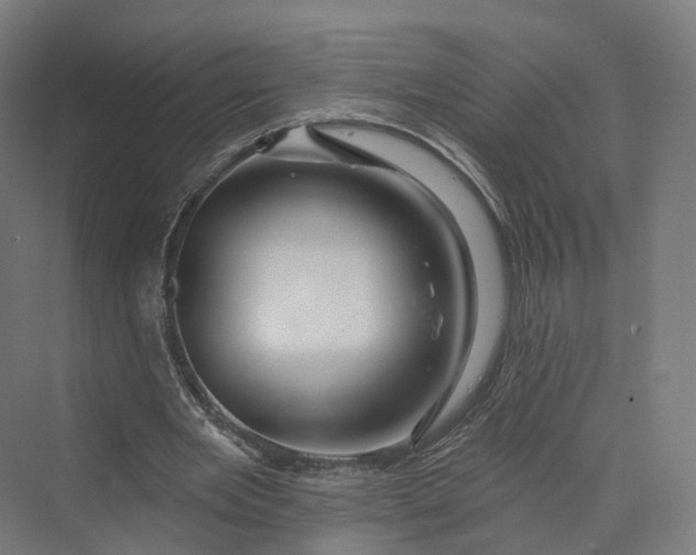 X0000069790485200606021417