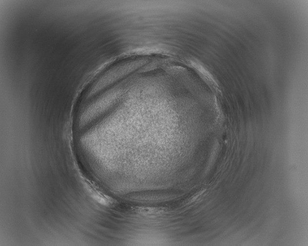 X0000069790486200606021417