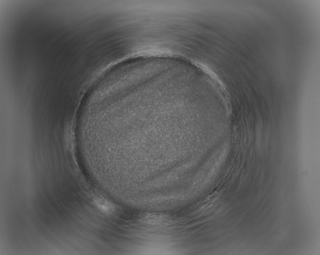 X0000069790487200606021417