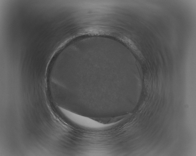 X0000069790488200606021417