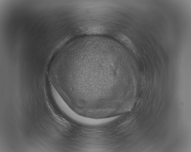 X0000069790491200606021417