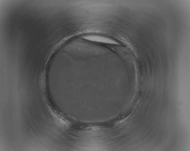 X0000069790492200606021417