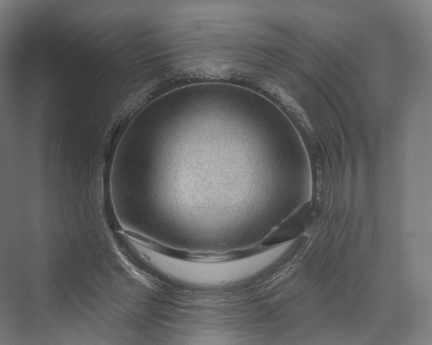 X0000069790493200606021417