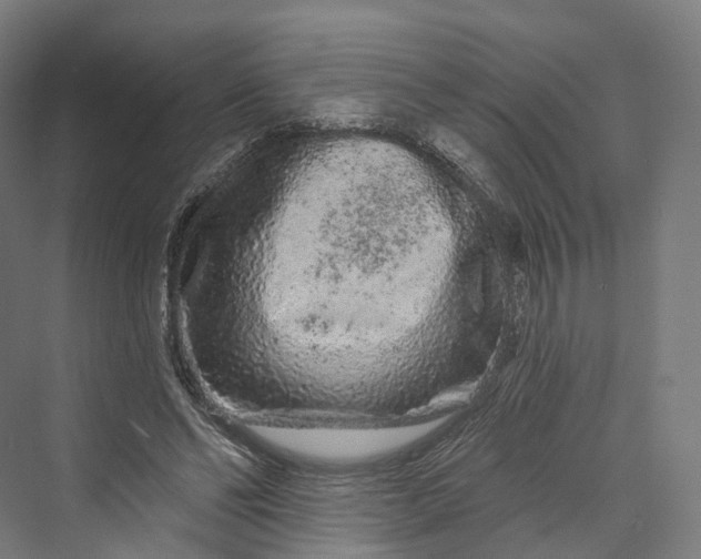 X0000069790494200606021417