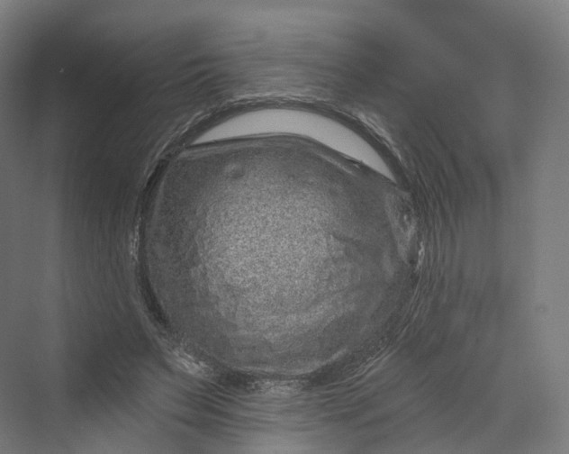 X0000069790495200606021417