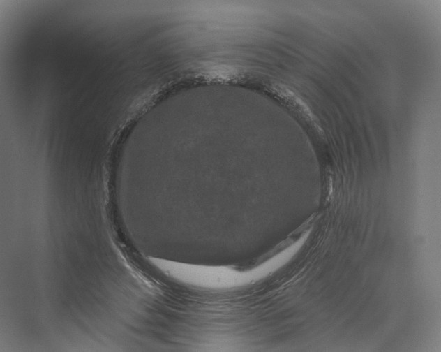 X0000069790496200606021417