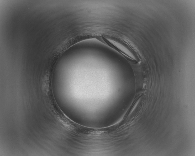 X0000069790497200606021417