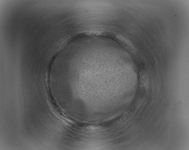 X0000069790498200606021417