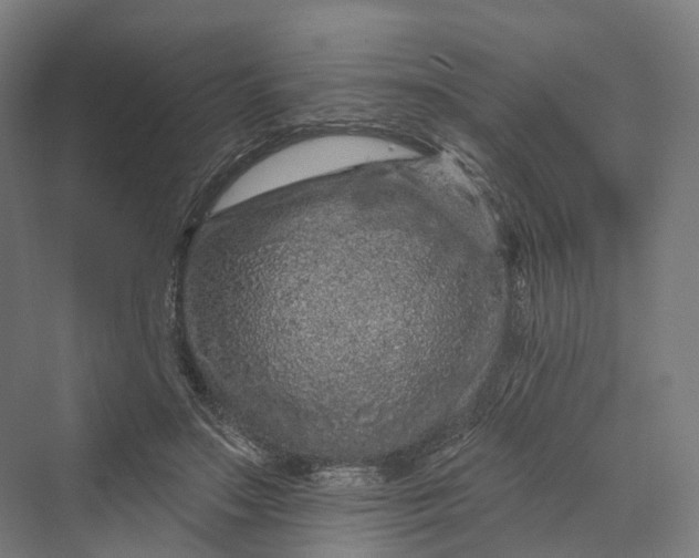 X0000069790499200606021417