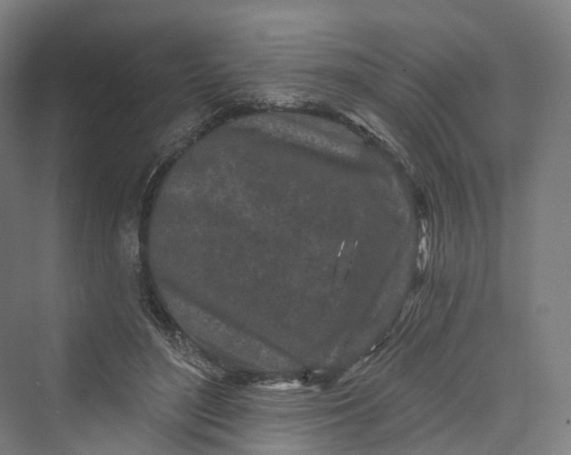 X0000069790500200606021417