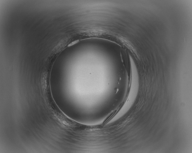 X0000069790501200606021417