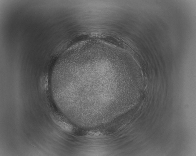 X0000069790502200606021417