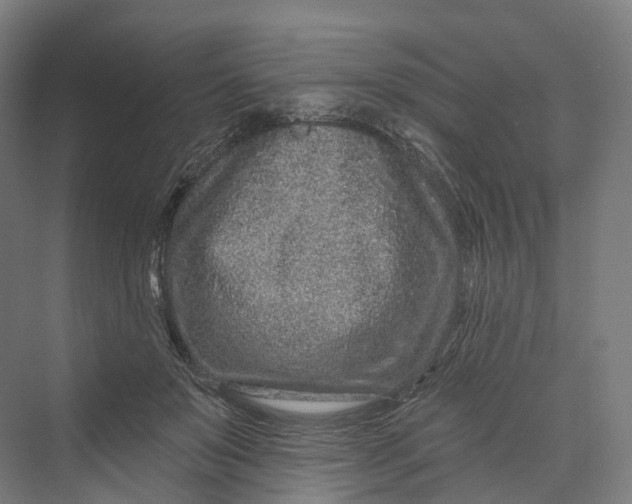 X0000069790503200606021417