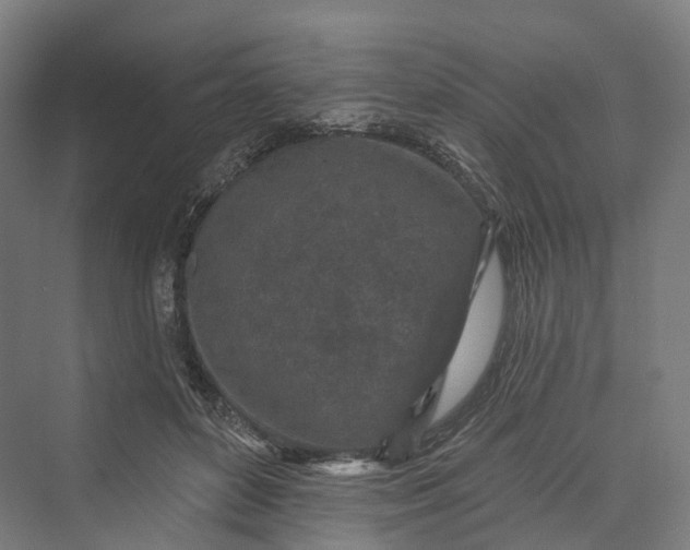 X0000069790504200606021417