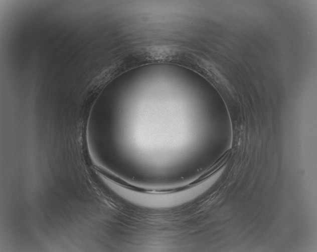 X0000069790505200606021417