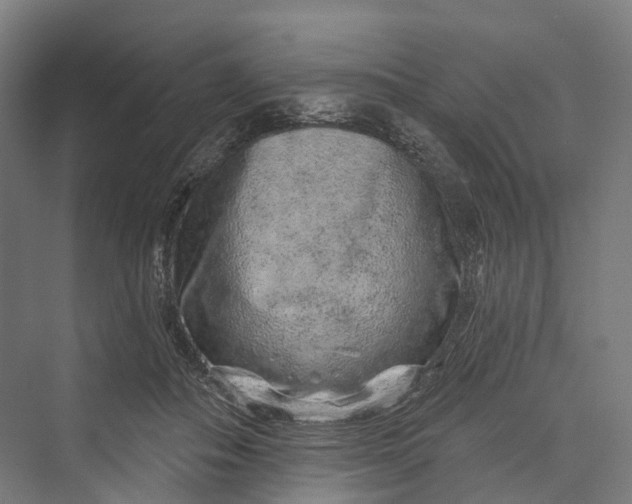 X0000069790506200606021417