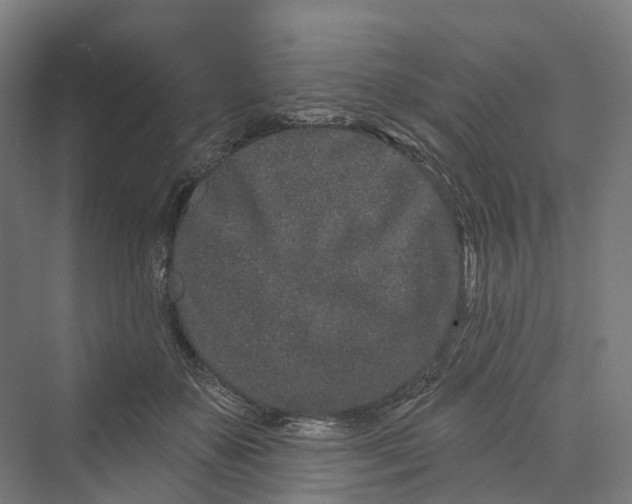 X0000069790507200606021417