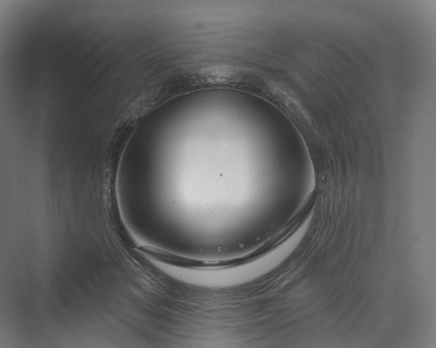 X0000069790509200606021417