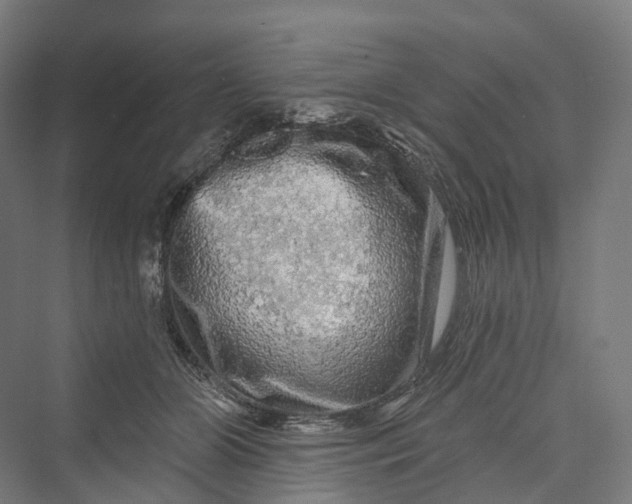 X0000069790510200606021417