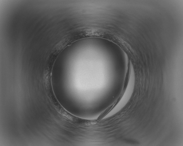 X0000069790513200606021416