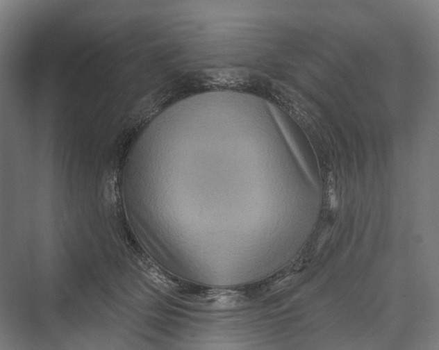 X0000069790514200606021416