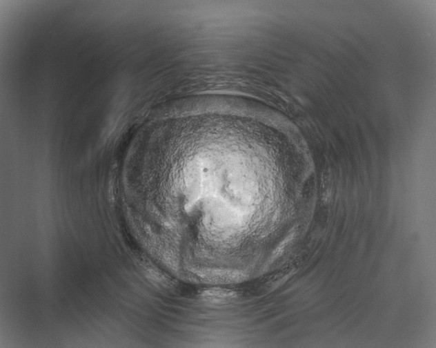 X0000069790515200606021416