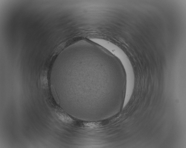 X0000069790516200606021416