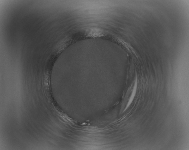 X0000069790517200606021416