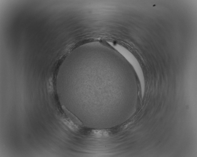 X0000069790520200606021416