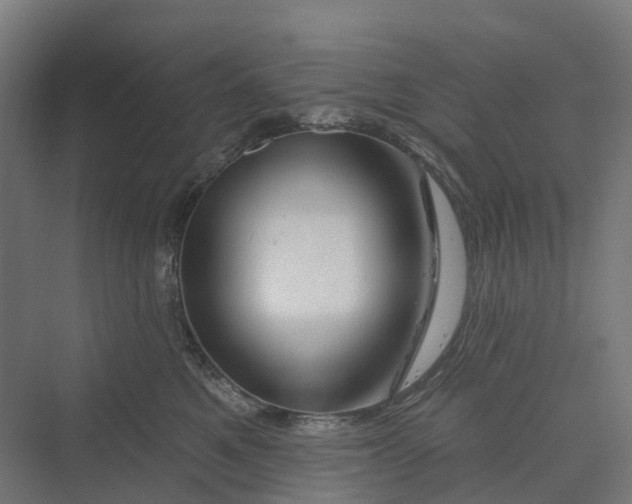 X0000069790521200606021416