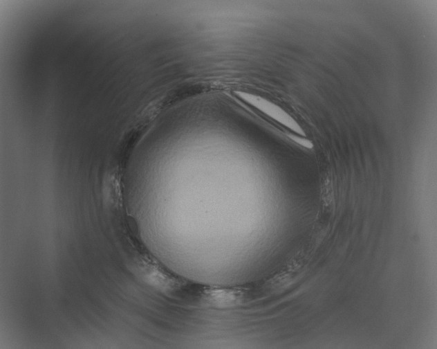 X0000069790522200606021416