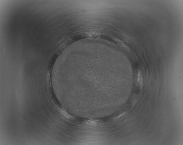 X0000069790523200606021416