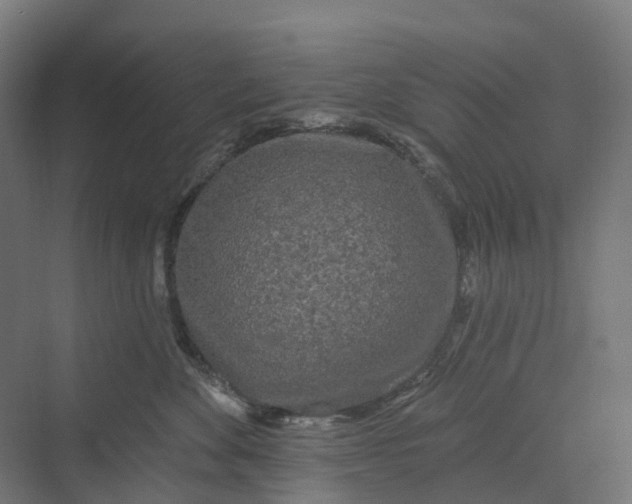 X0000069790524200606021416