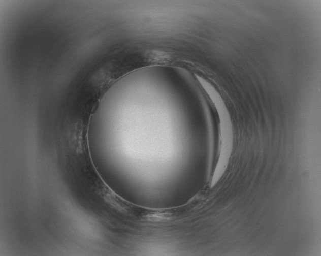 X0000069790525200606021416