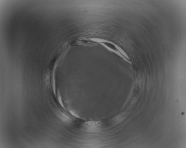 X0000069790526200606021416