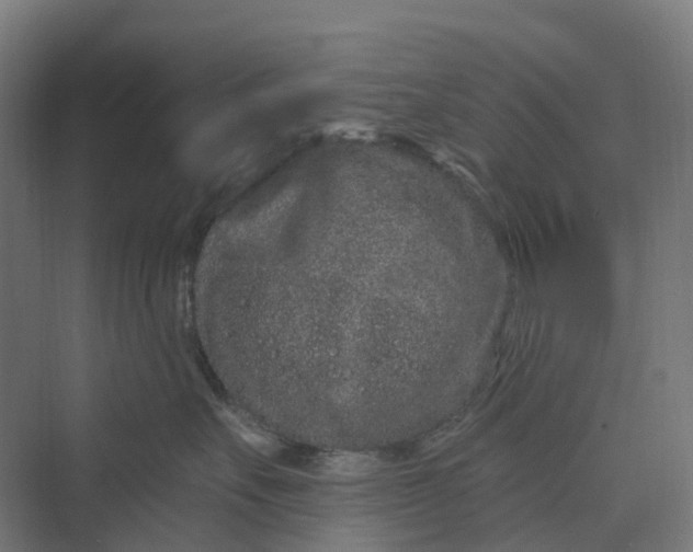 X0000069790527200606021416