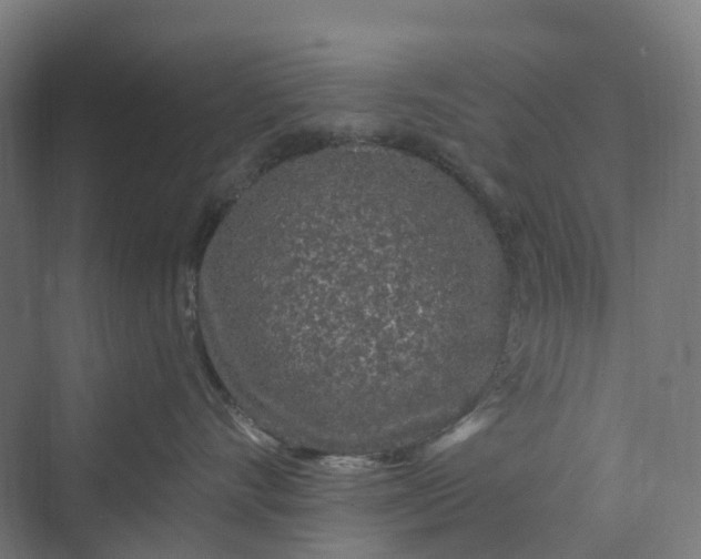 X0000069790528200606021416