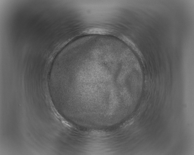 X0000069790529200606021415