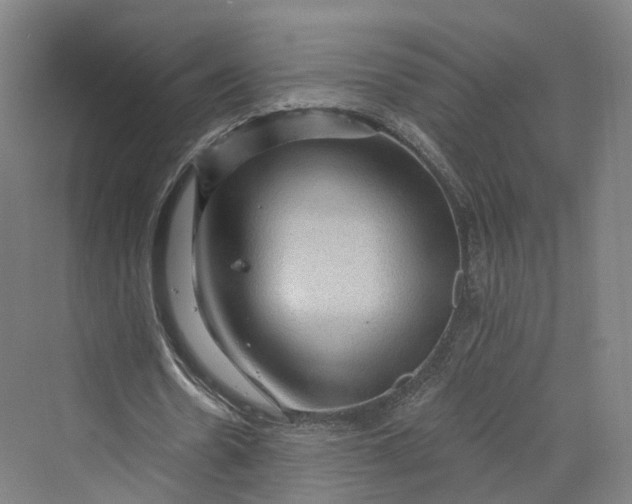 X0000069790530200606021415