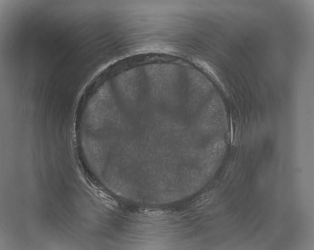 X0000069790531200606021415