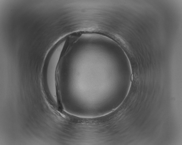 X0000069790532200606021415