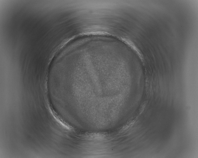 X0000069790533200606021415