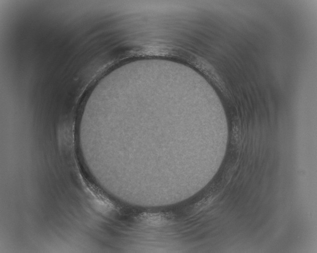 X0000069790534200606021416