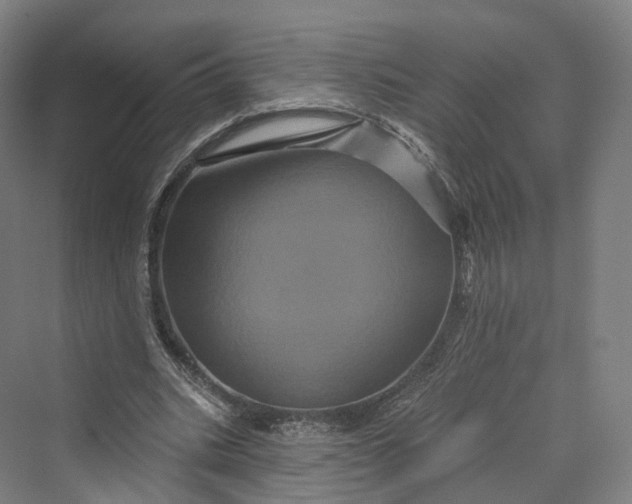 X0000069790535200606021416