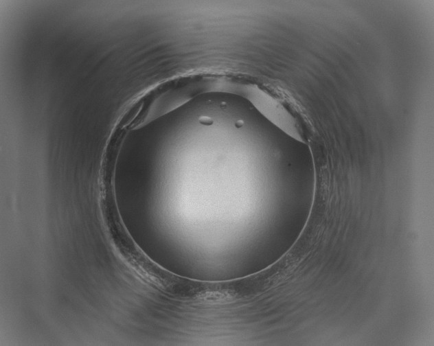 X0000069790536200606021416