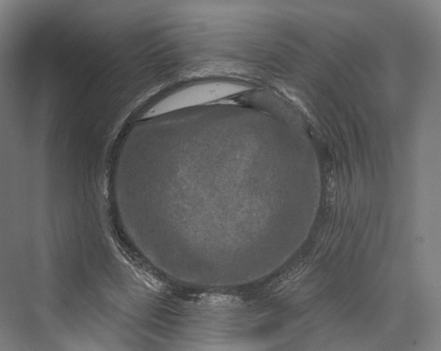 X0000069790539200606021416