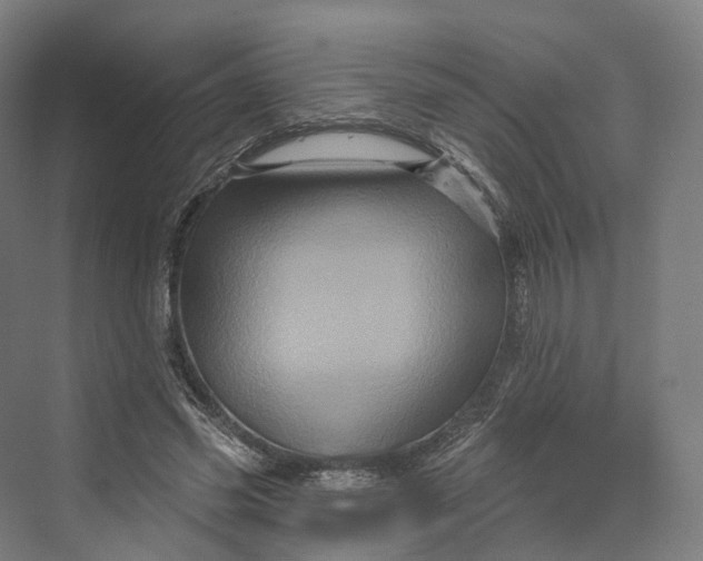 X0000069790541200606021416