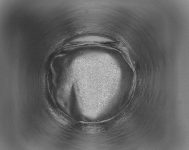 X0000069790542200606021416