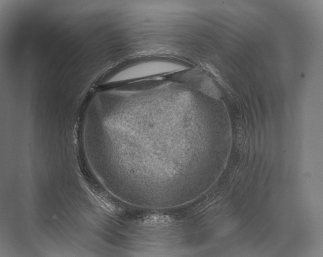 X0000069790543200606021416